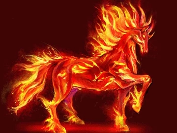寻侠三国